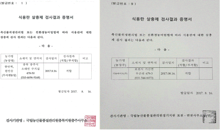 살충결나.PNG